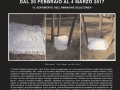 cravanzola Art  &  ART.jpg