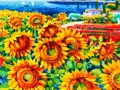 50 X 50 NELLA LUCE DEI GIRASOLI.jpg