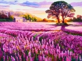 60 X 80 TRA I SENTIERI DELLA LAVANDA LUCE E POESIA.jpg